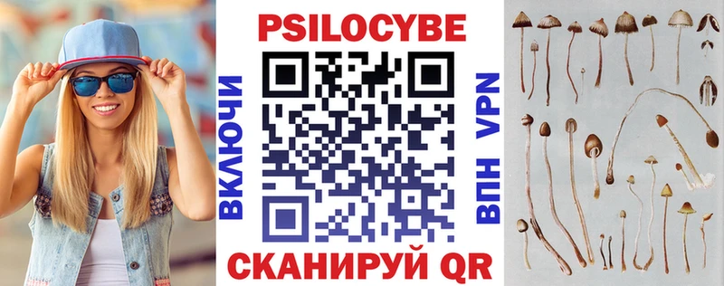Псилоцибиновые грибы Psilocybe  как найти наркотики  Покровск 